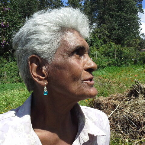 Rosana hernandez